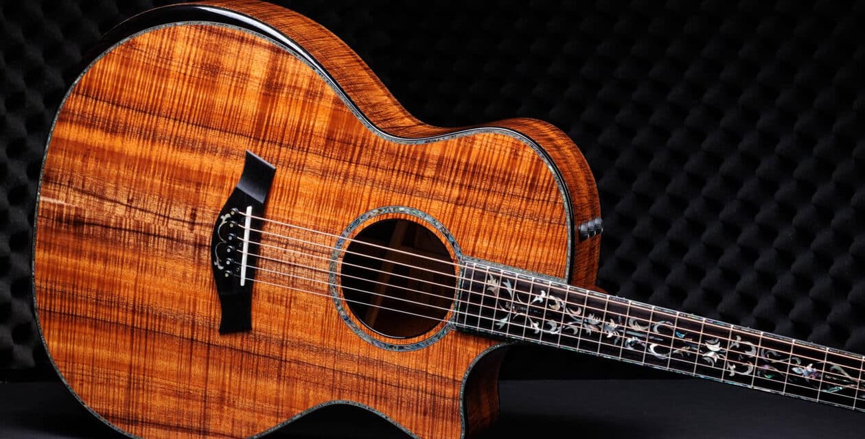 NAMM 2024: Taylor Guitars 50th Anniversary Collection